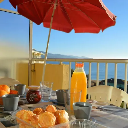 Apartment Pour 4 Personnes Avec Terrasse Et Directe Au Lavandou - Fr-1-251-251
