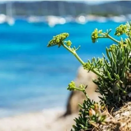 4 Pers. Avec Terrasse Sur La Au Lavandou - Fr-1-251-251 Διαμέρισμα